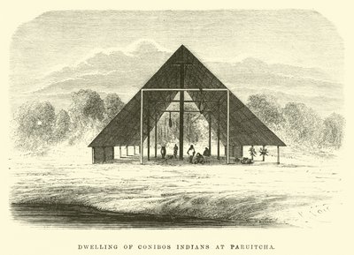 Habitation des Indiens Conibos à Paruitcha - Edouard Riou